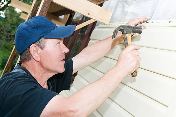 Affordable Siding Repair and Maintenance Services in Demorest, GA